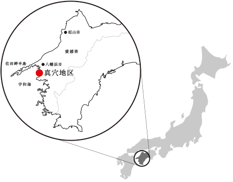 愛媛県八幡浜市真穴地区 地図